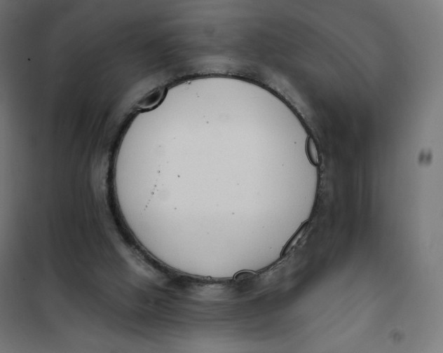 X0000101390058200807280947