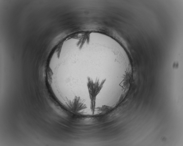 X0000101390059200807280947