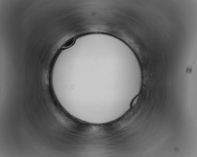 X0000101390060200807280947