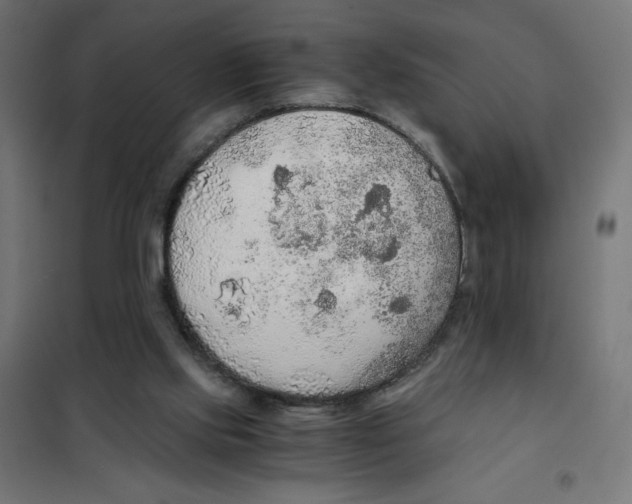 X0000101390061200807280947