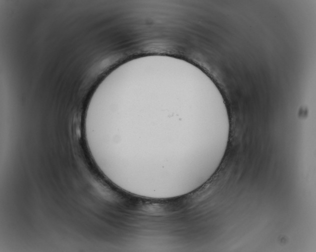 X0000101390062200807280947