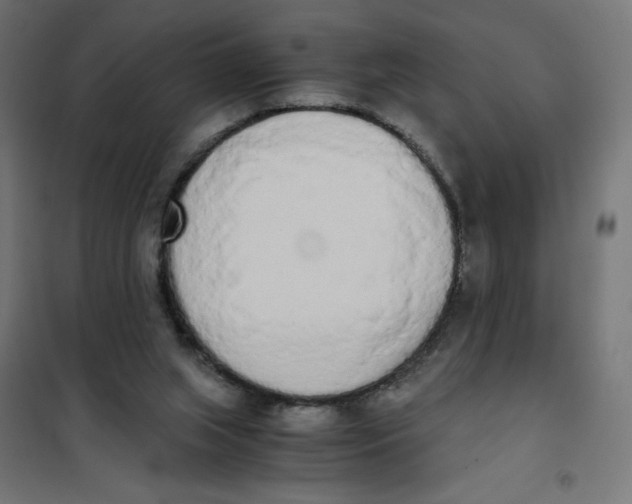 X0000101390063200807280947