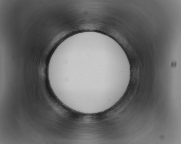 X0000101390064200807280947