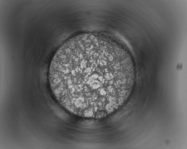 X0000101390065200807280947