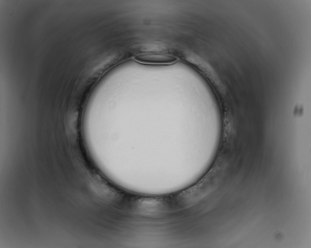 X0000101390066200807280947