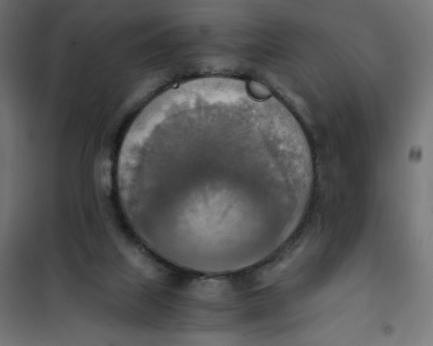 X0000101390067200807280947
