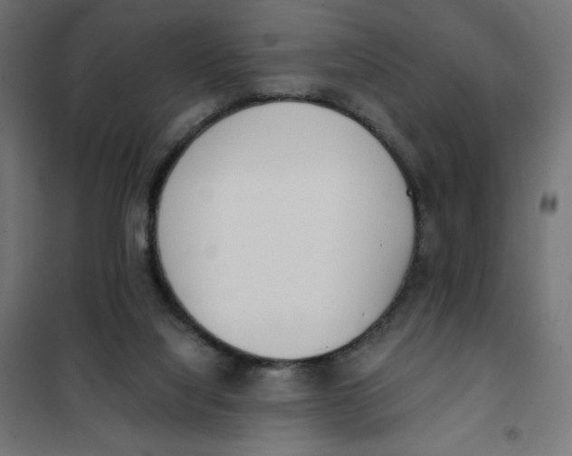 X0000101390068200807280947