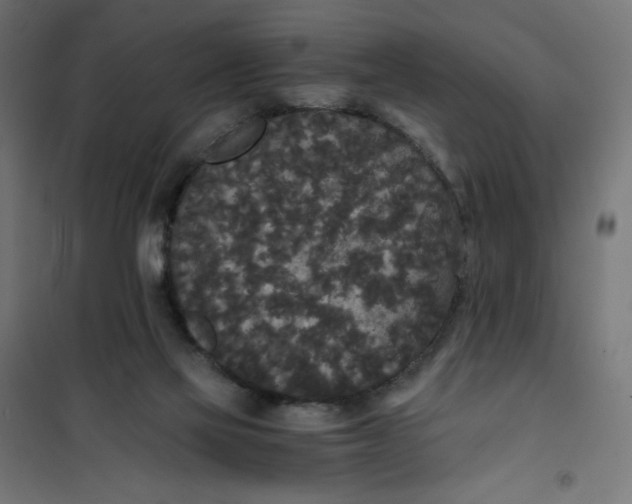 X0000101390069200807280947