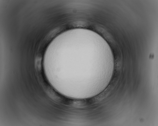 X0000101390070200807280947