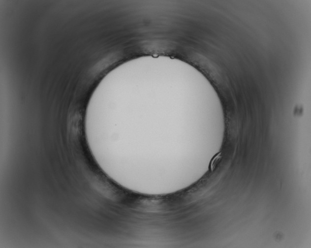 X0000101390071200807280948