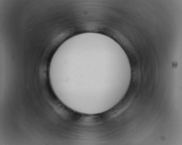 X0000101390072200807280948
