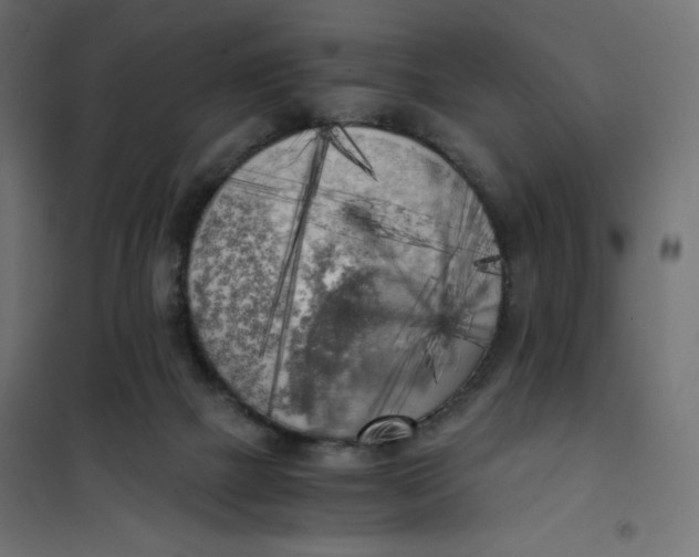 X0000101390073200807280948