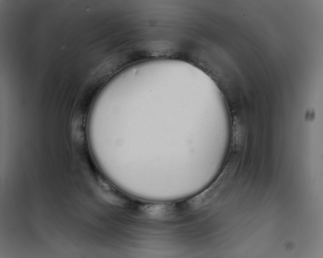 X0000101390074200807280948