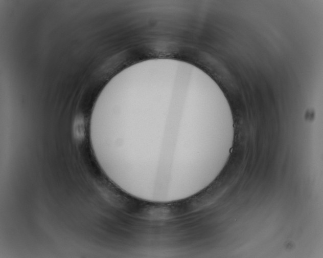 X0000101390075200807280948