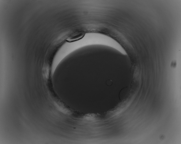 X0000101390076200807280948