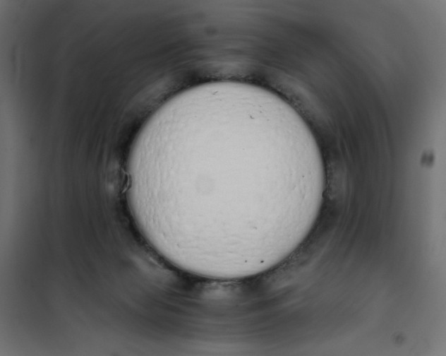 X0000101390077200807280948