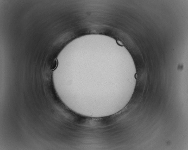 X0000101390078200807280948