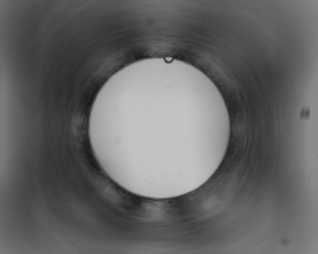 X0000101390079200807280948