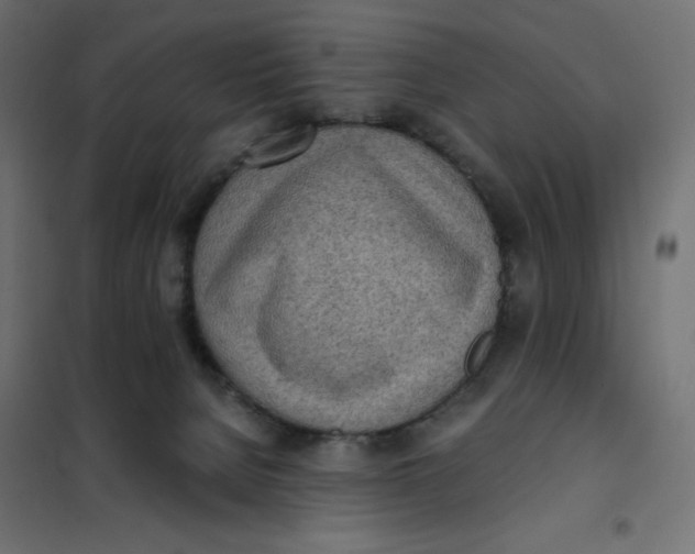 X0000101390080200807280948