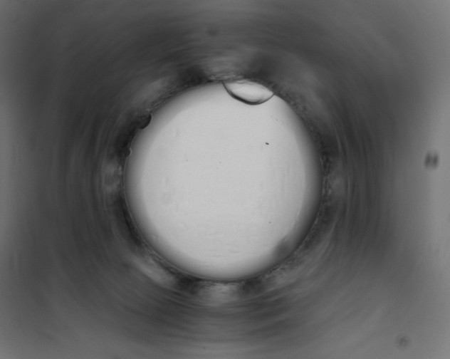 X0000101390081200807280948