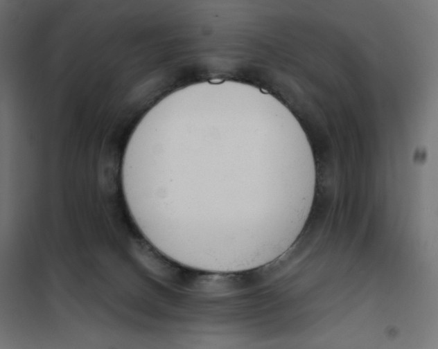 X0000101390082200807280948