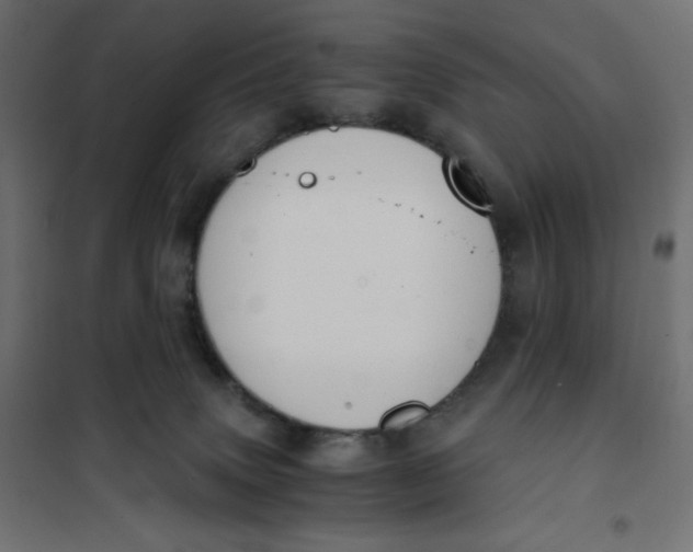 X0000101390083200807280948