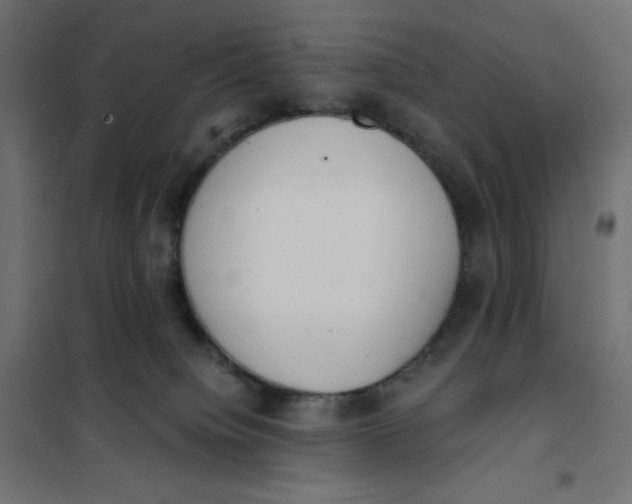 X0000101390084200807280948