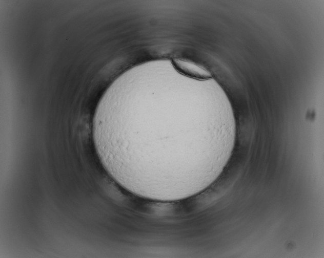 X0000101390085200807280948