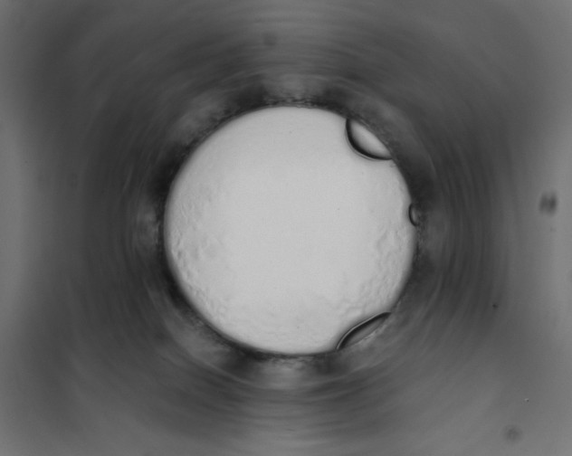 X0000101390086200807280948
