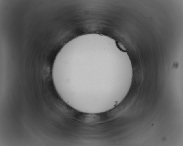 X0000101390087200807280948