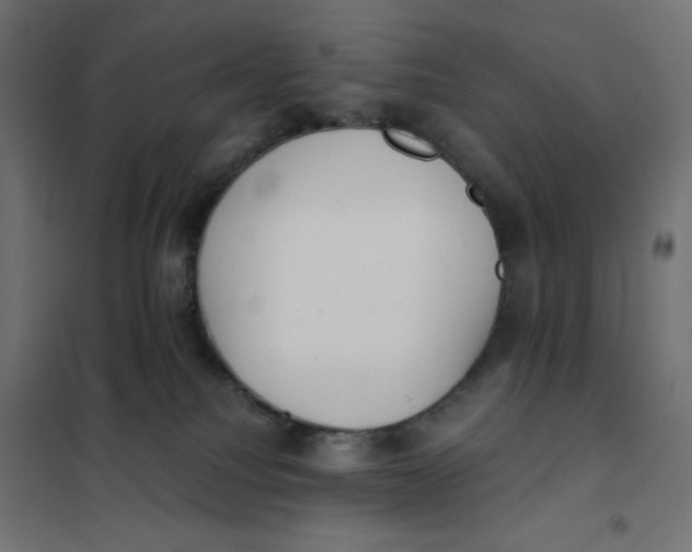 X0000101390088200807280948