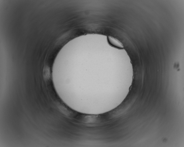X0000101390089200807280948