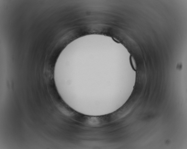 X0000101390091200807280948