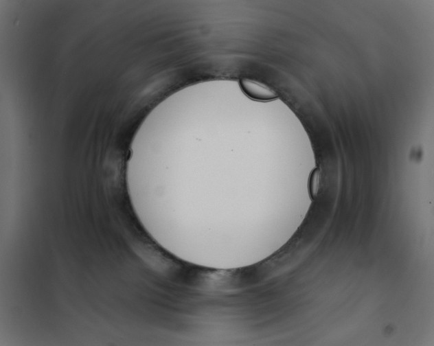 X0000101390092200807280948