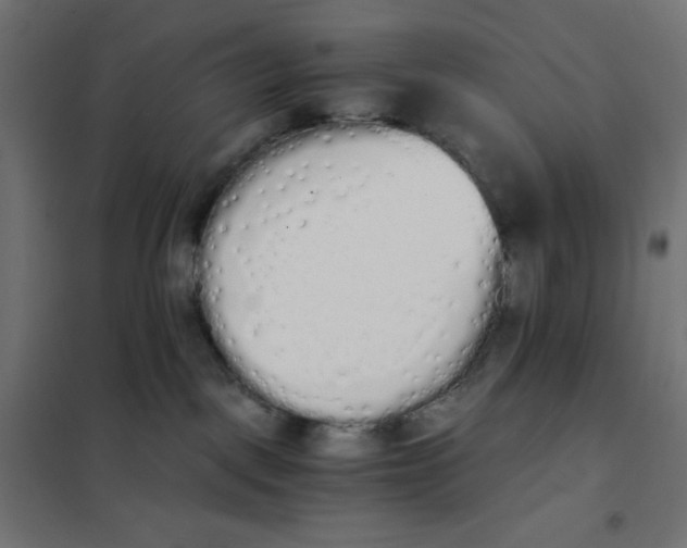X0000101390093200807280948