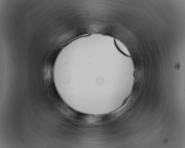 X0000101390094200807280948