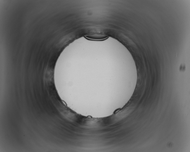 X0000101390096200807280948