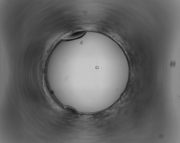 X0000101390097200807280947