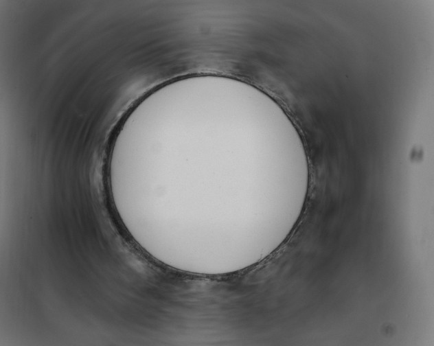 X0000101390098200807280947
