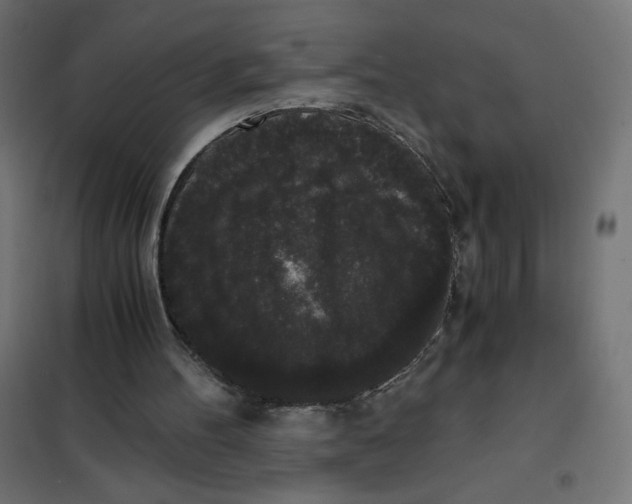 X0000101390100200807280947