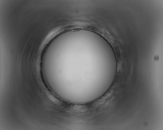 X0000101390101200807280947