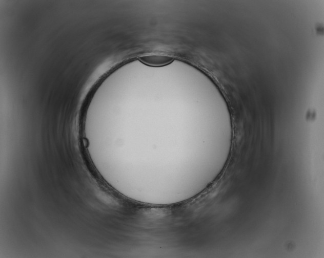 X0000101390102200807280947