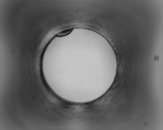 X0000101390103200807280947