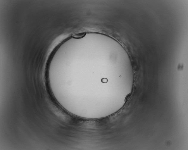 X0000101390104200807280947