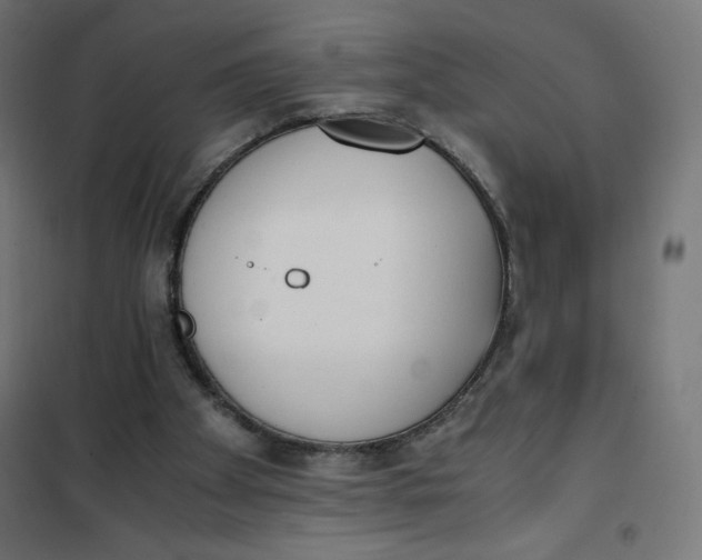 X0000101390105200807280947