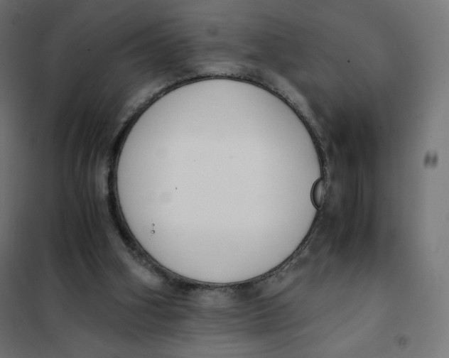 X0000101390106200807280947