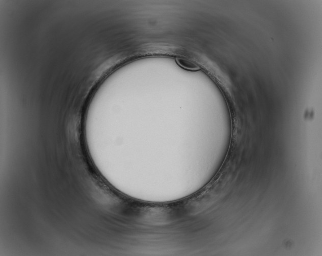 X0000101390107200807280947
