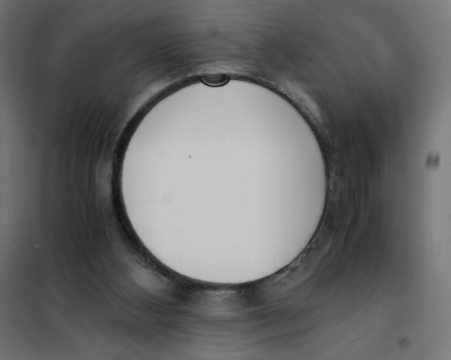 X0000101390108200807280947