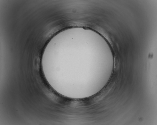 X0000101390109200807280947