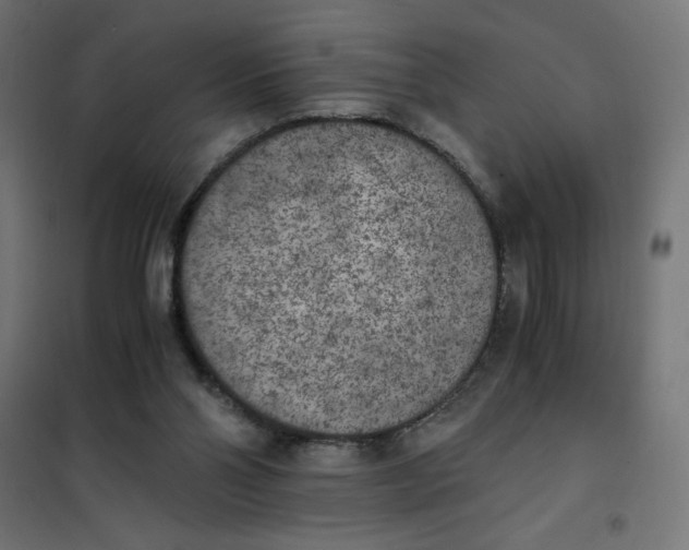 X0000101390110200807280947